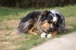 Merly und Mandy 03_2011_37